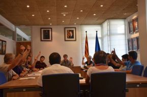 Ple extraordinari per la moció del 9-N