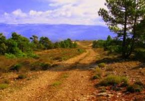 Camins amb Jaume Salvat 21.01.14