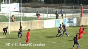 Bon balanç del MIC 2015