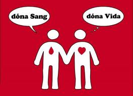 Última donació de l'any 2013