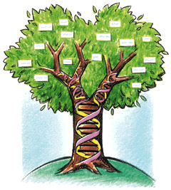 Curs genealogia CEDRHE