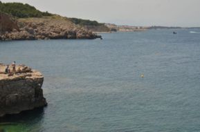 Vies Braves i Cargolada nocturna