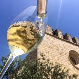 Centenars de persones omplen Arrels del Vi a Sant Martí d´Empúries