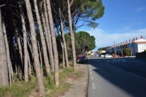 Franja contra incendis al Barri Rosa Lau
