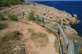 Camins amb Jaume Salvat 05.11.13
