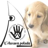 L'Anxova Peluda demana col·laboració