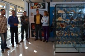 Inauguració expo malacologia al Maram