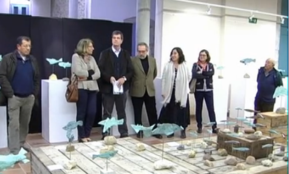 Expo Peix al cove