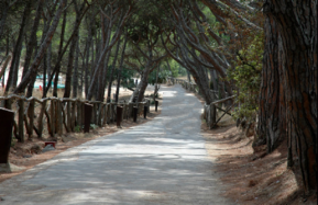 Camins amb Jaume Salvat 22.10.13