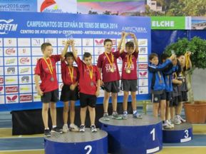 Campions d'Espanya