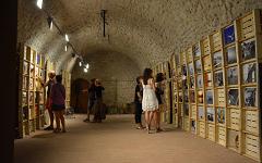 Exposició de fotografies dins el Festival Portalblau