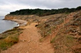 Quaderns per difondre el paratge de les Planasses