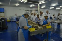 Visita d'una delegació del Ministeri d'Indonèsia