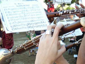 Obligat de sardana del 27.12.14