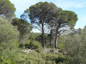 Camins amb Jaume Salvat 10.12.13