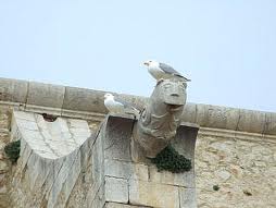 Patrimoni-Les Gargoles de l'Església de Sant Pere de l'Escala