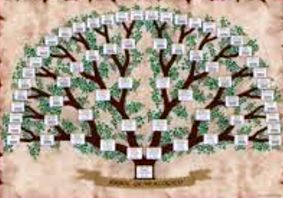 Curset de genealogia . 10.12.13