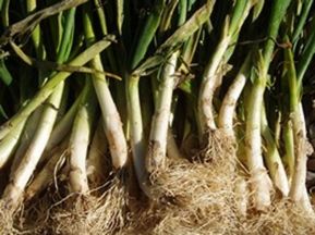 Creix el consum de calçots ecològics 