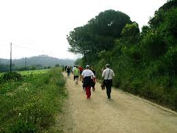80 participants a la caminada pel càncer