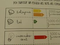 L'Escola Empúries neteja platges en motiu de la Setmana Verda