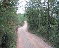 Camins amb Jaume Salvat 14.01.14
