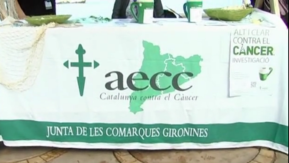 Postulació anual de l'ACCC.