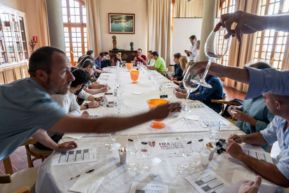 Tast a cegues a Empúries per triar els premis Arrels del Vi